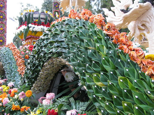 Фестиваль цветов в Чианг Мае
