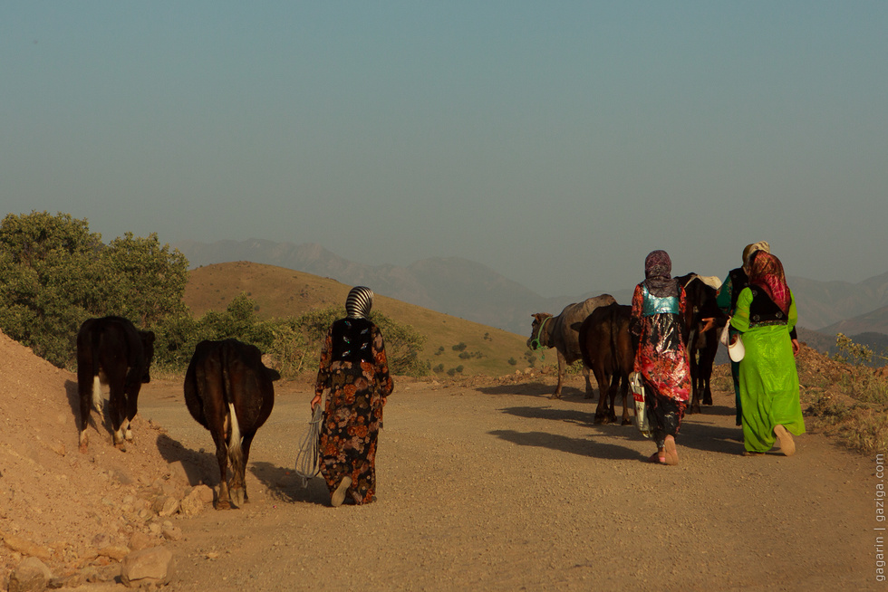 Пастушки в Курдистане