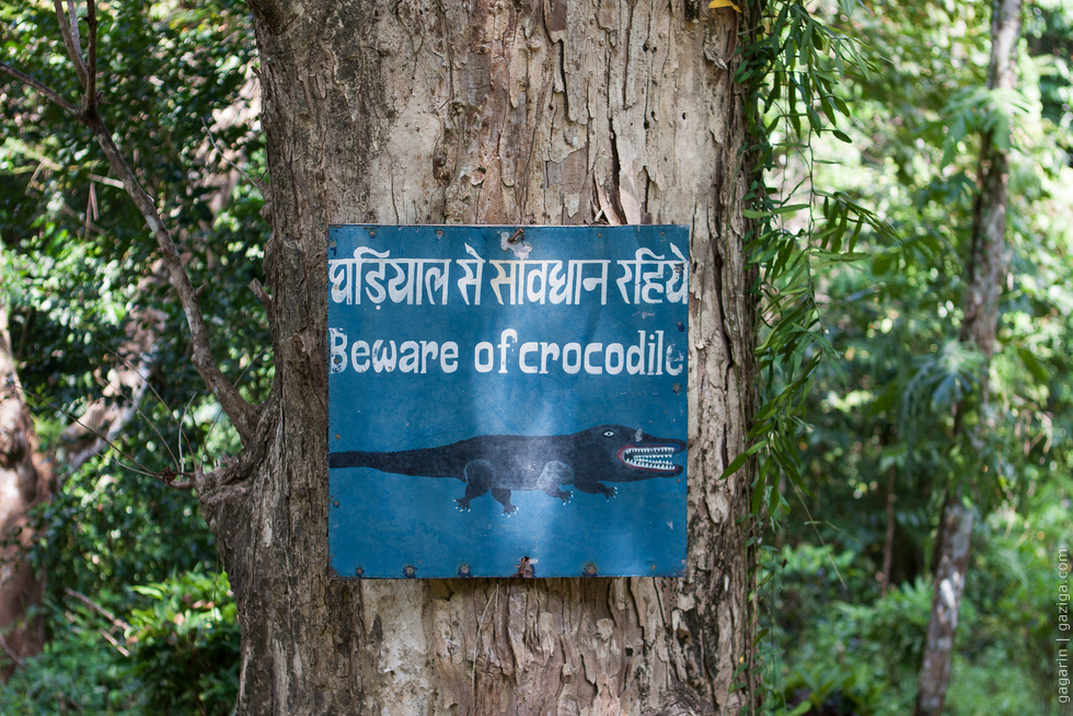 Beware of crocodiles